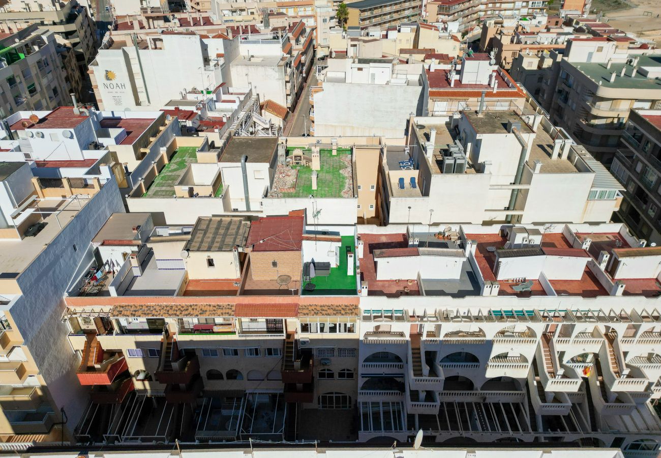 Apartment in Torrevieja - Beach Apartment Green Terrace La Mata